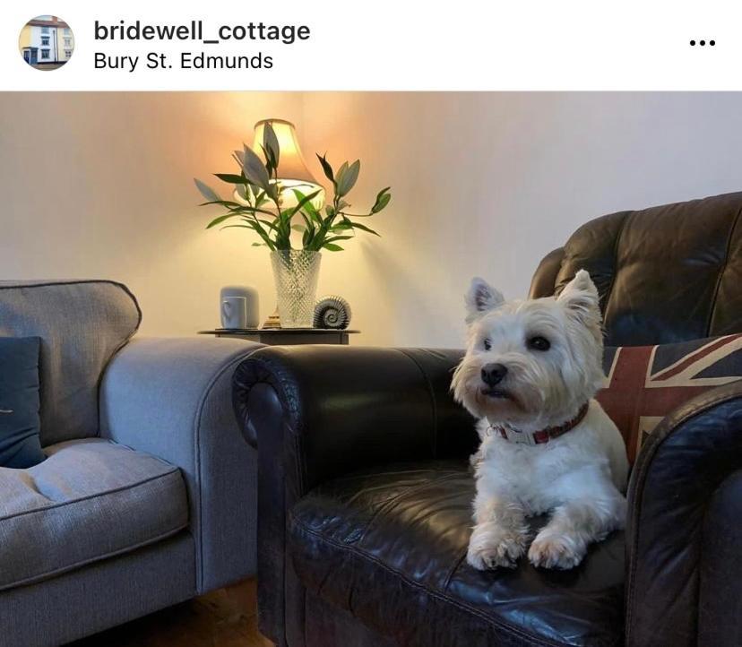 Sweet & Cosy 10 Bridewell Cottage With Parking Available Upon Request Bury St. Edmunds Zewnętrze zdjęcie